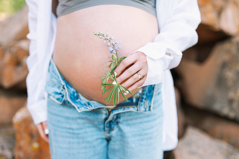 Fort Collins, Denver, Boulder fine art photography