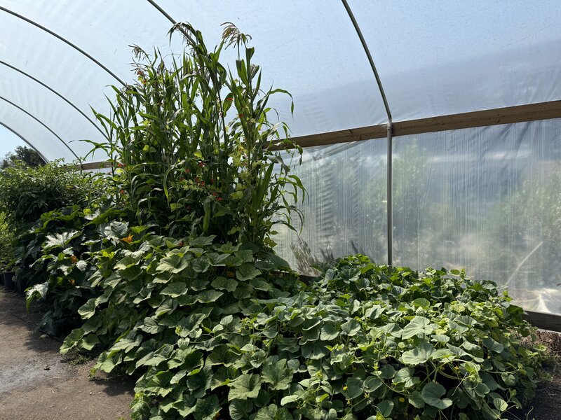 Soil crafted for professional growers