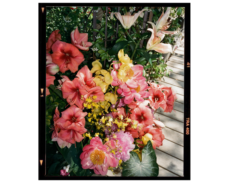 BC Film - Florals -3