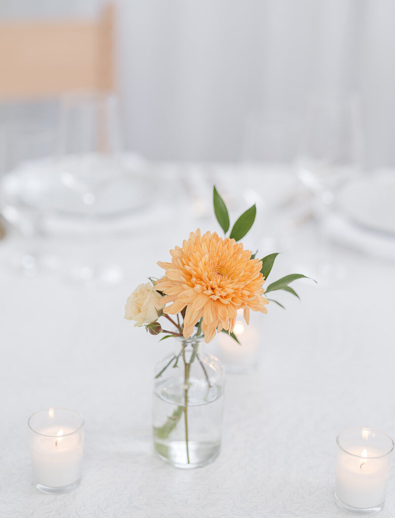 Gathered_BeachPlumFloral_-61