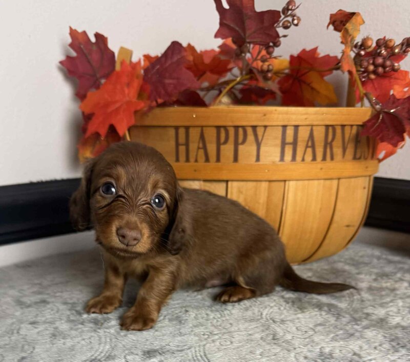 51f87599-b041-4f3a-8d95-b92c74c46ffa