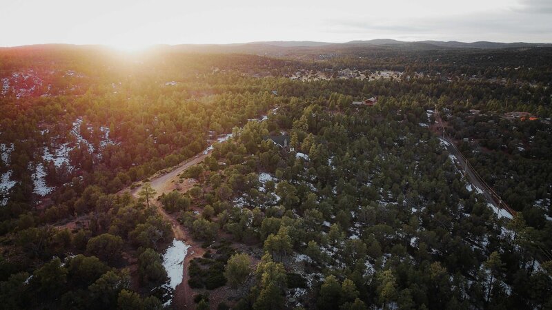 Ground view of a gorgeous stone chateau in a forest. 