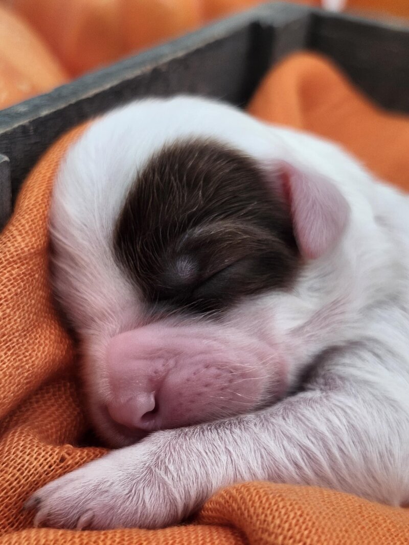 c93b88a6-a218-47fd-ae83-05d0f6de9149