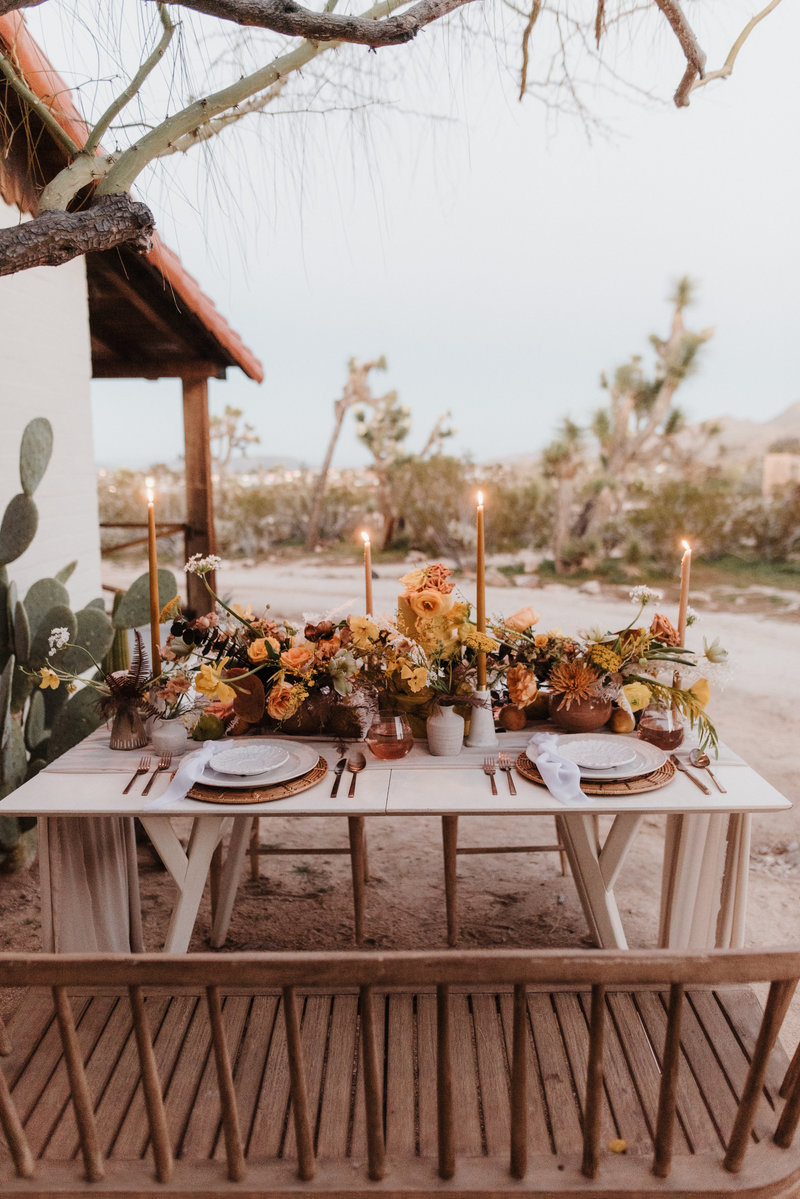 joshuatreeeditorial-377