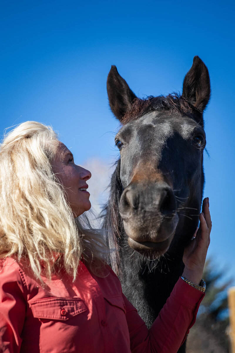 Equine Therapy in Utah