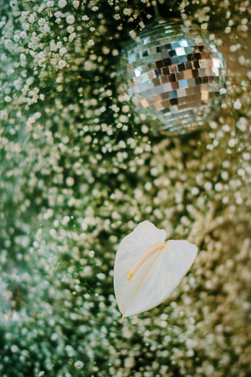 Sandra'sSurpriseBirthdayCelebration-29