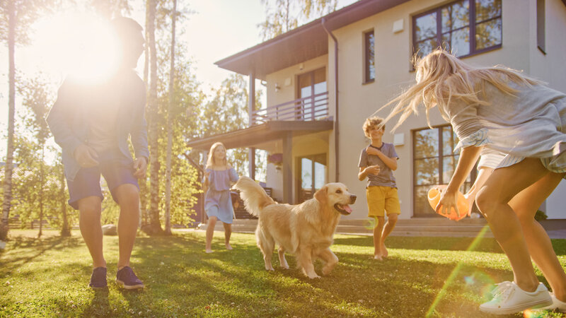 family playing in poop-free backyard with dog