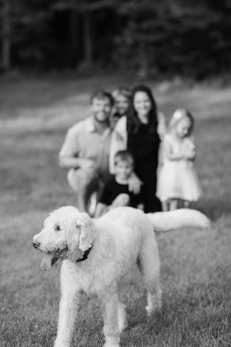 007_On-Location-Northern-Wisconsin-Private-Estate-Portrait-Film-Style-Photographer-James-Stokes-Co.Photographers.Medford.WI
