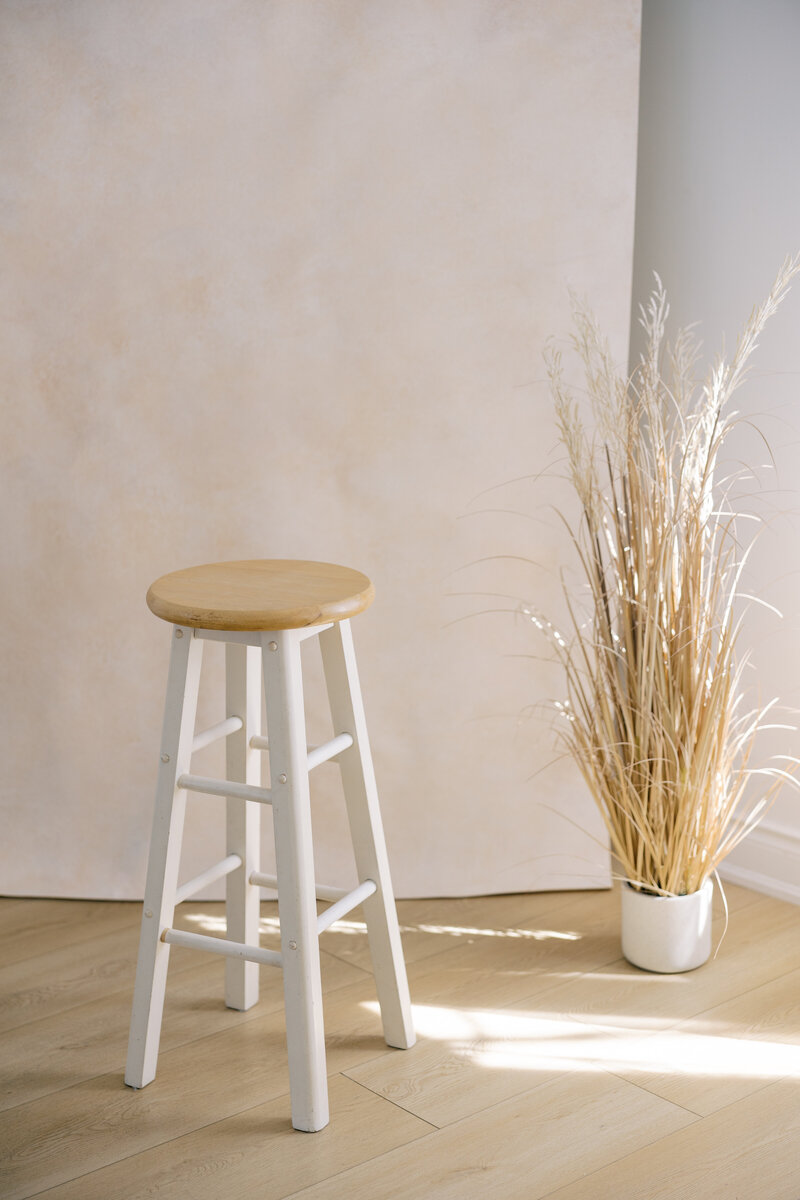 The light wooden floors with a white bar stool and a white potted plant with creamy grass in it, sitting in front of a hand painted mural