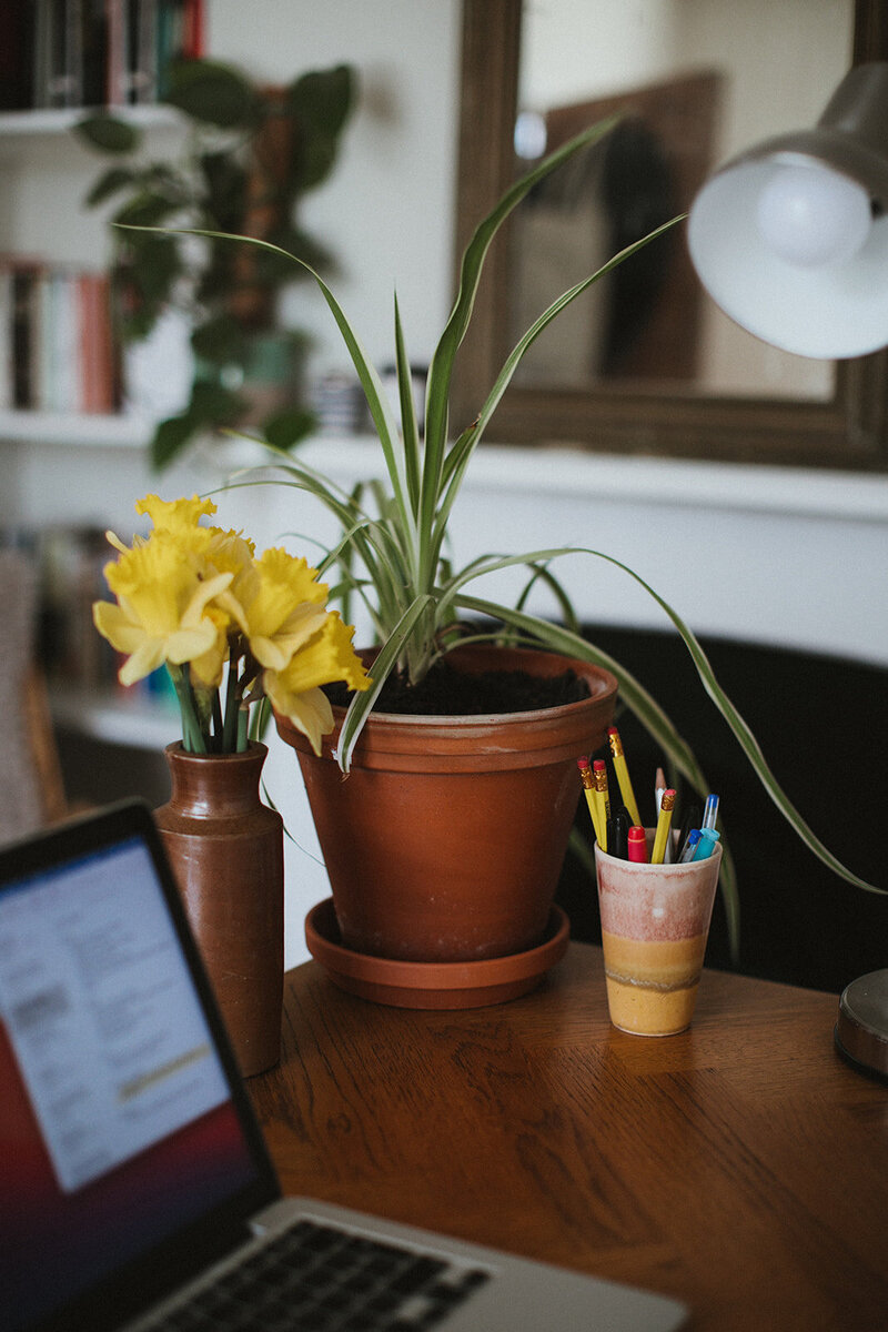 beautiful office interior for a business coach