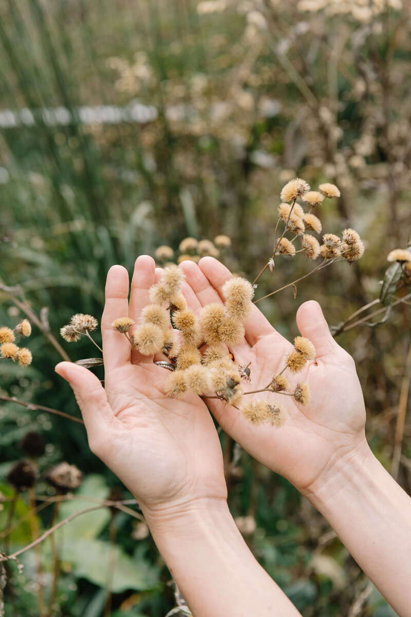 Close-up of hands gently holding fresh foliage, symbolizing connection to nature and holistic wellness.