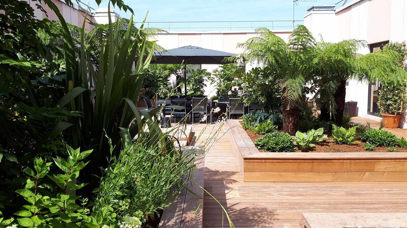 Terrasse avec plantes vertes, palmiers, chaises, table et parasol