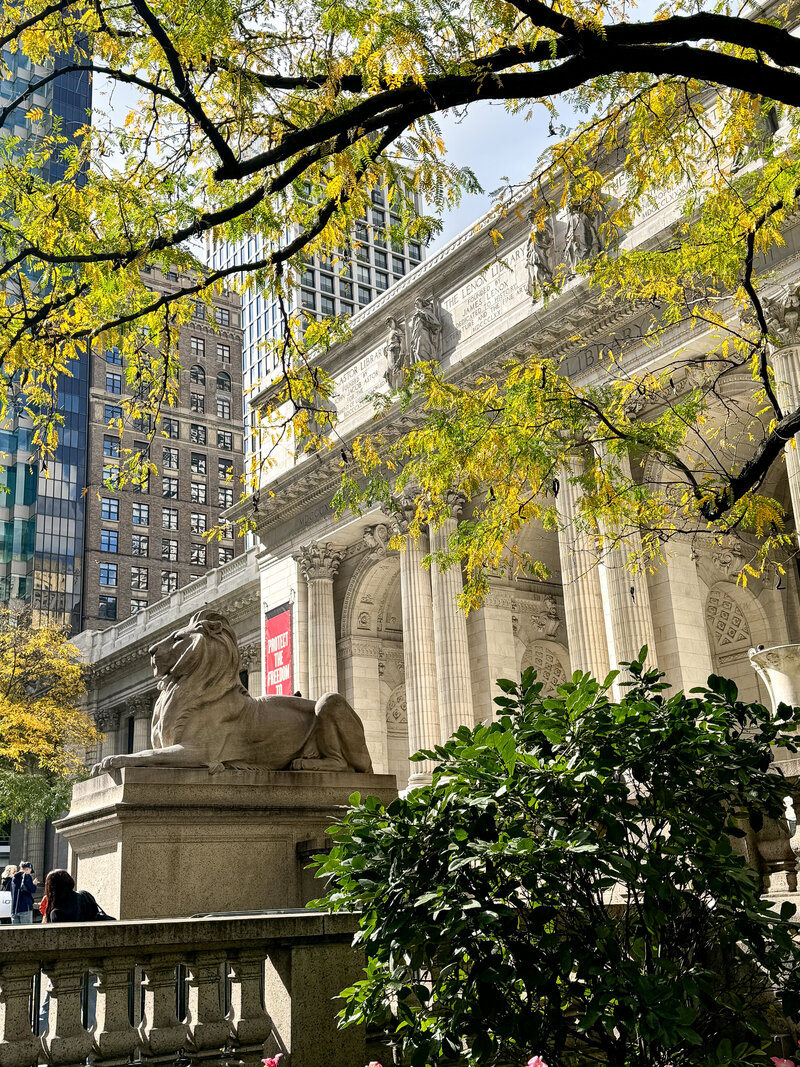 NYC library lion 