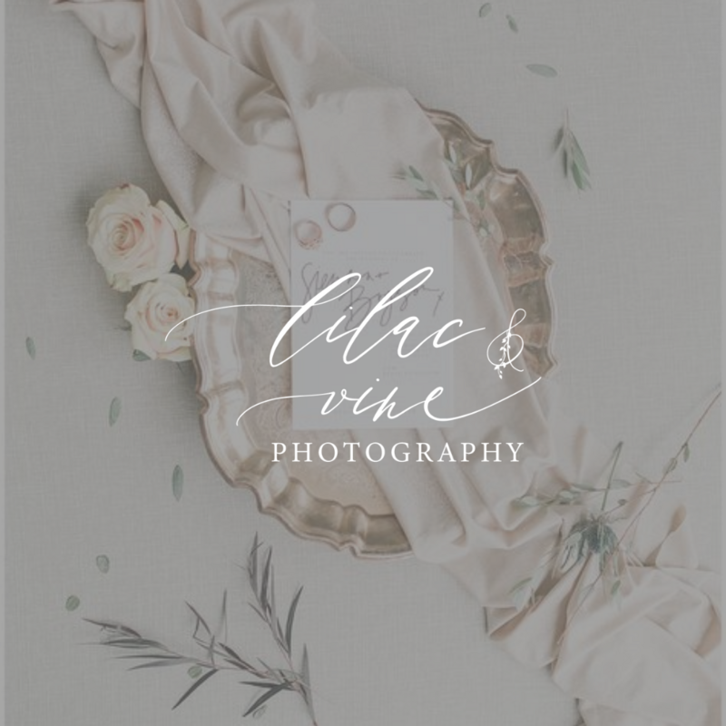 Lilac and Vine Photography brand redesign