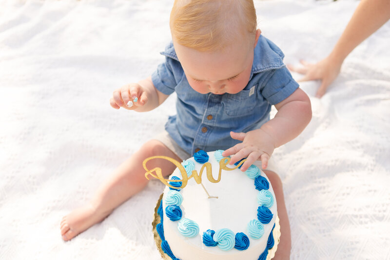 cole's 1st birthday  Miranda Yaniak Photography-101