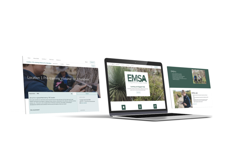 EMSA_website-display_