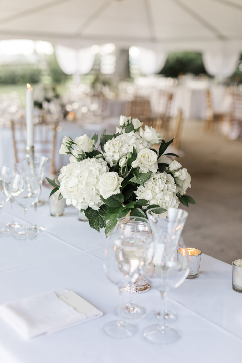 Hermitage Farm Wedding - Christopher and Caitlin-63