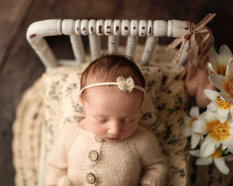 premier-newborn-photo-studio-paris-ontario