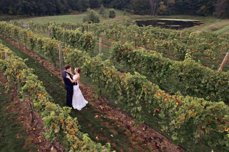 Bride and Groom, dressed in Wedding Attire. Dance in  Vines at 7 Vines Vineyard in Dellwood, MN