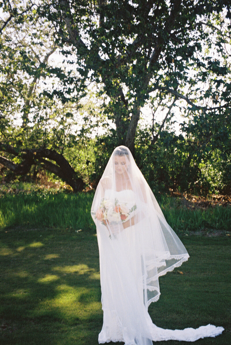 film-wedding-documentary-storytelling-2