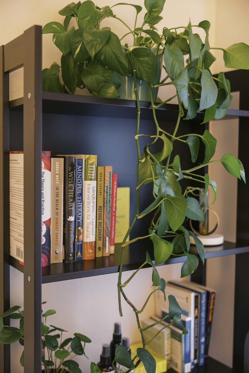 Bookshelf with therapy books