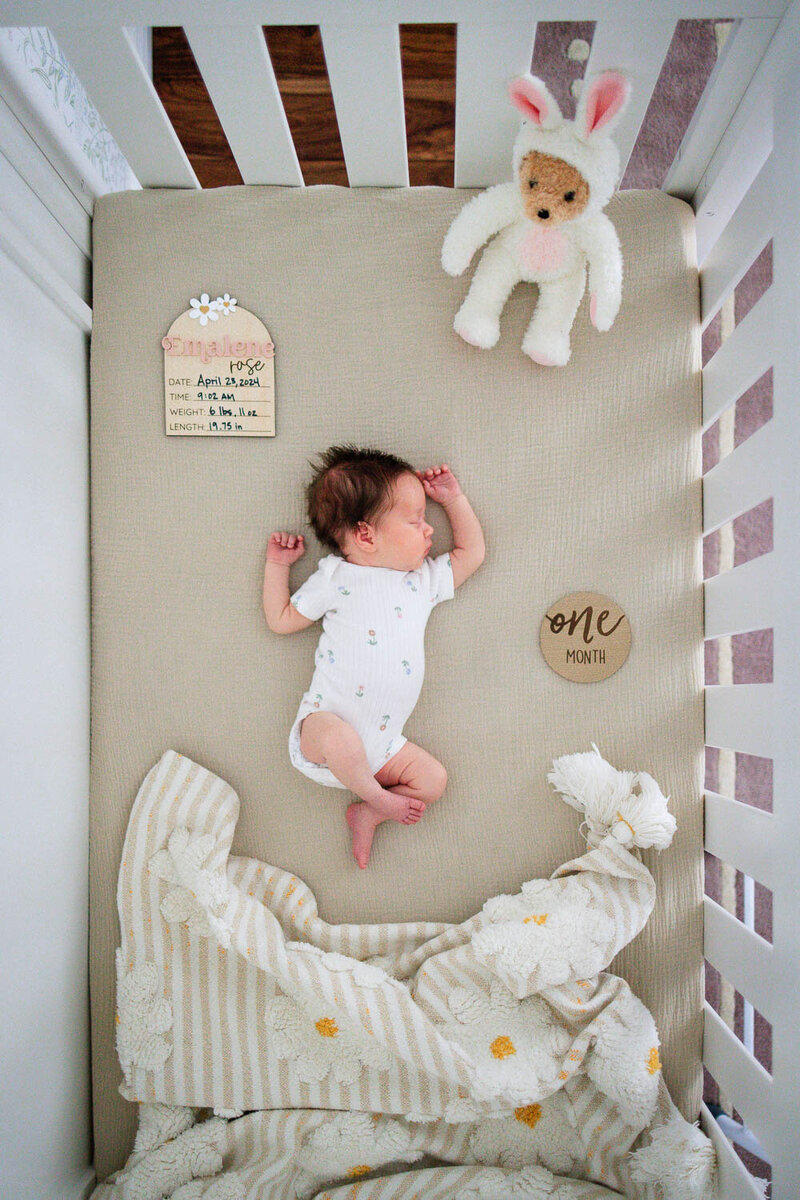 Labrador pup licking a newborn's face during a Santa Monica Newborn Photography session.
