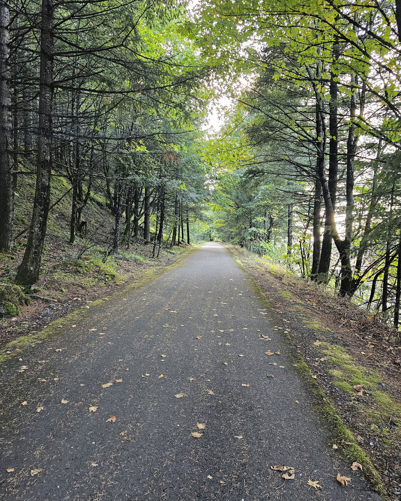 Enjoy a scenic ride through well-maintained paths lined with trees, making nature exploration accessible to all with The Gorge E-Bike Adventure Rentals