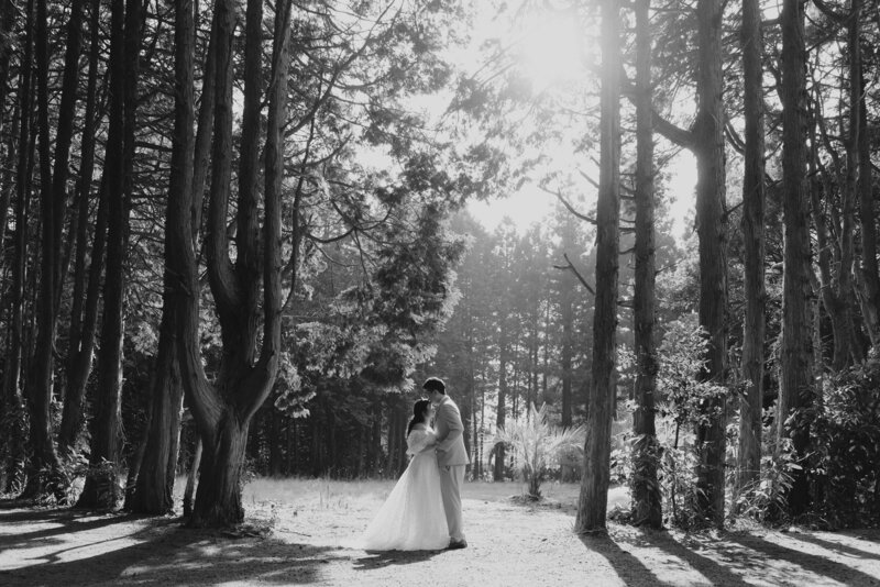 groom kisses bride on the head in the Secret Forest in Jeju Island