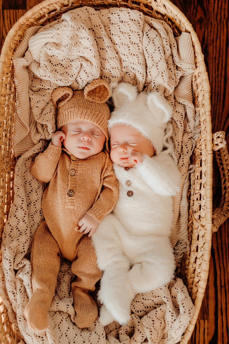 Twin newborn lifestyle session