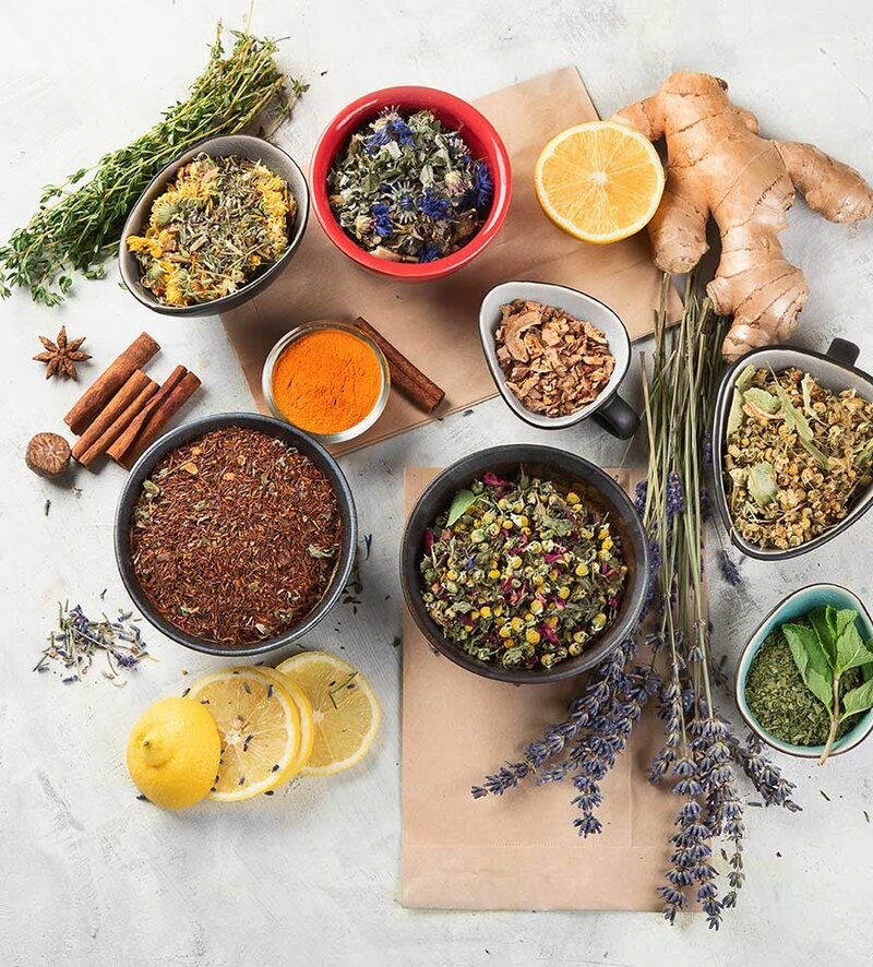 Fundamental Keys to Wellness Palm Beach Teaching Center 010