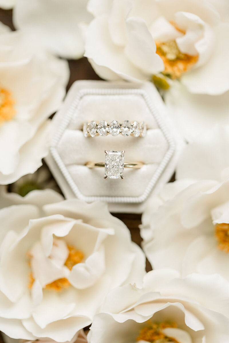 GettingReady(161of255)