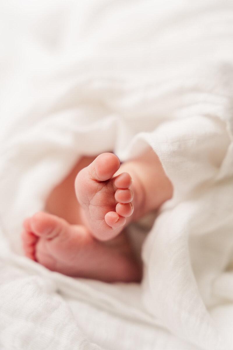 Close-up of a newborn’s tiny feet sticking out of a soft swaddle, highlighting their delicate features