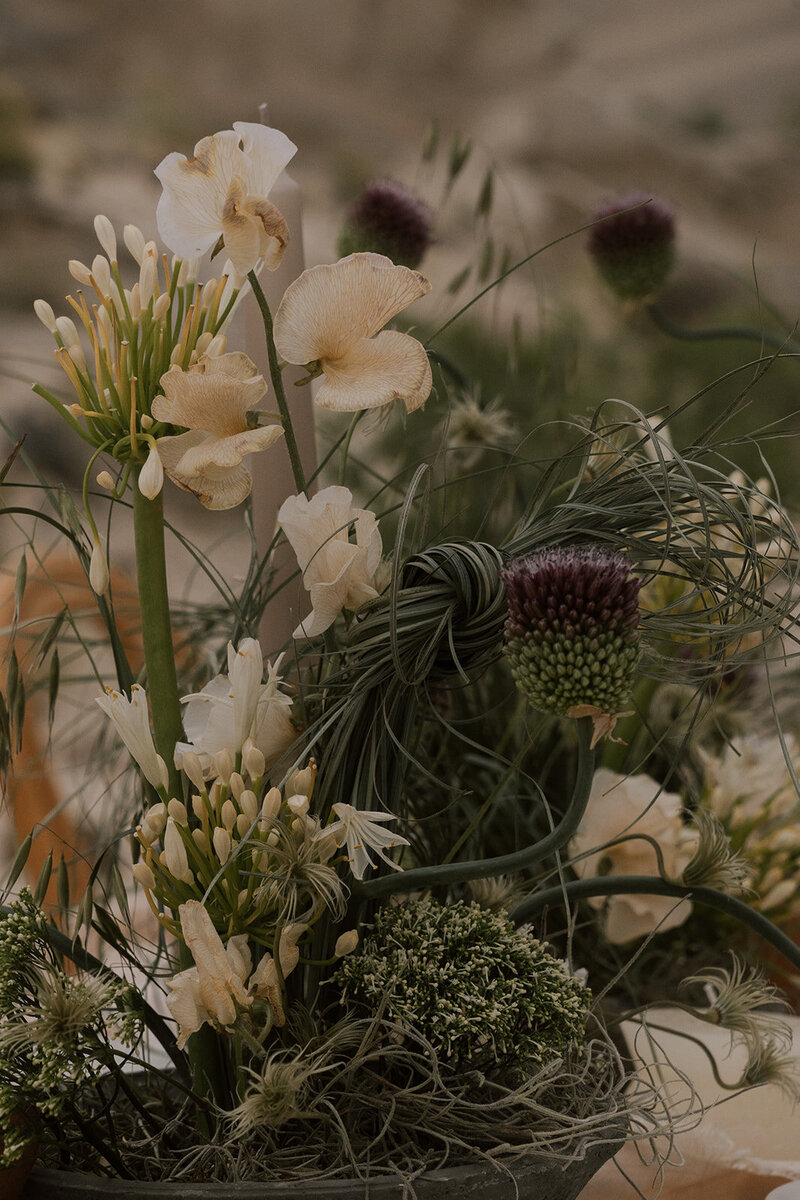 Whimsical desert floral display