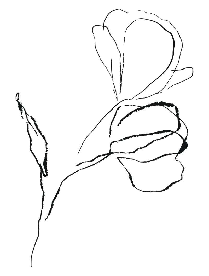 Flower line art