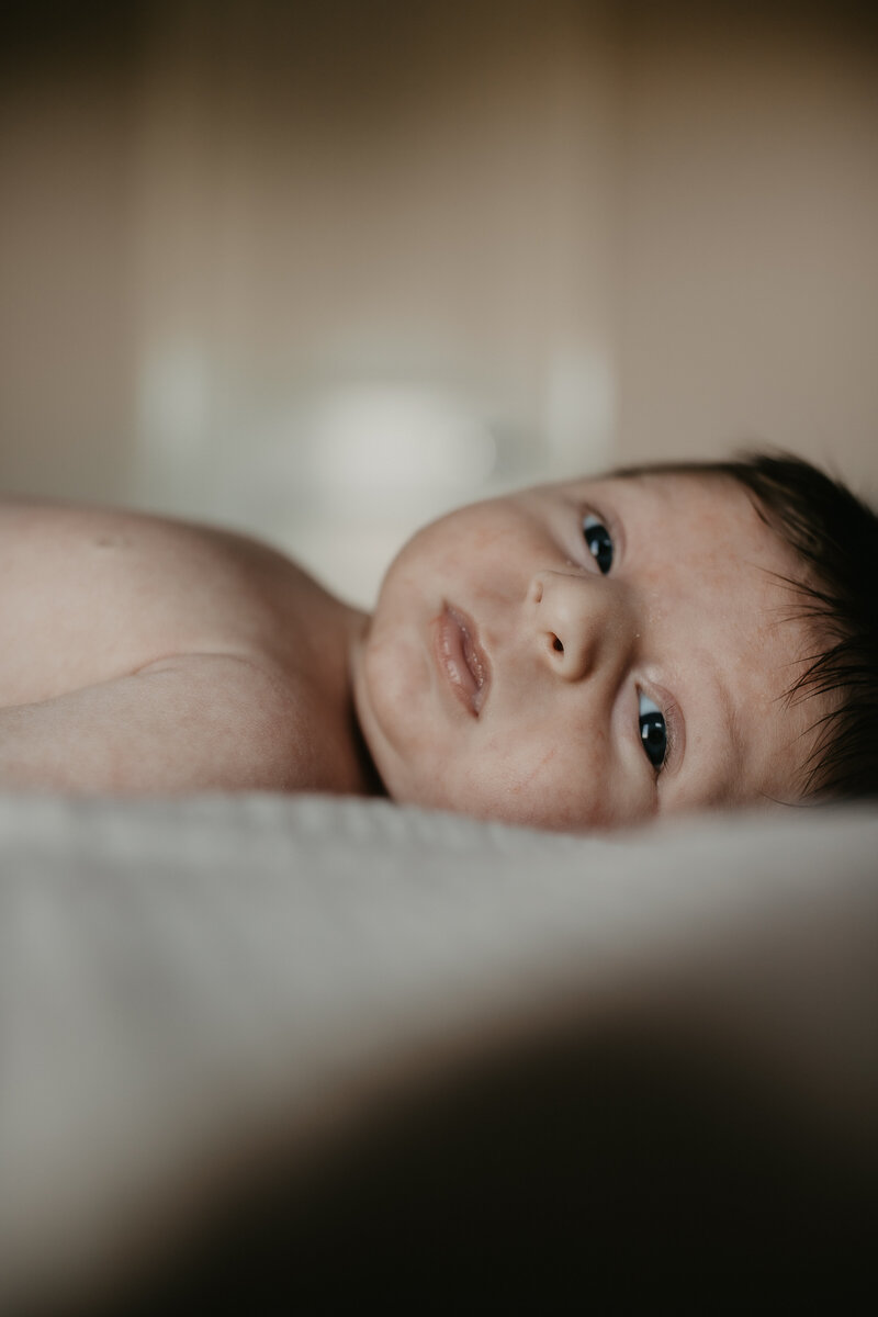 rex newborn9