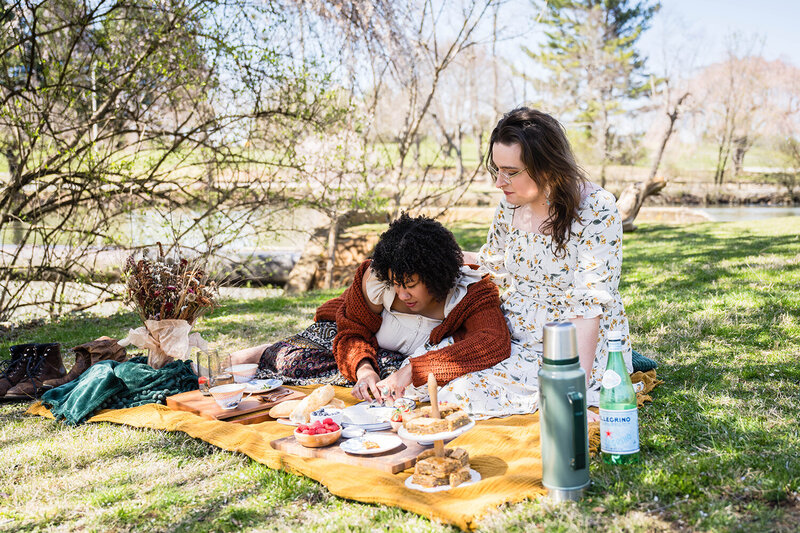 An LGBTQ+ couple has a picnic at Duck Pond for their Blacksburg wedding elopement day.