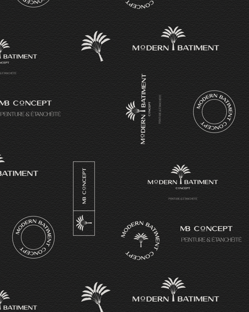 lionel_Plan de travail 1 copie