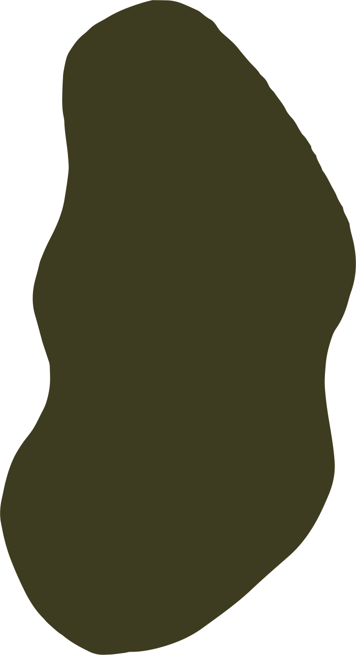 life coaches near me