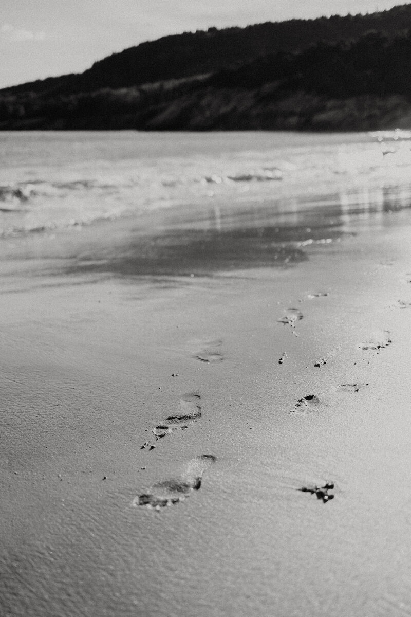 black and white image beach