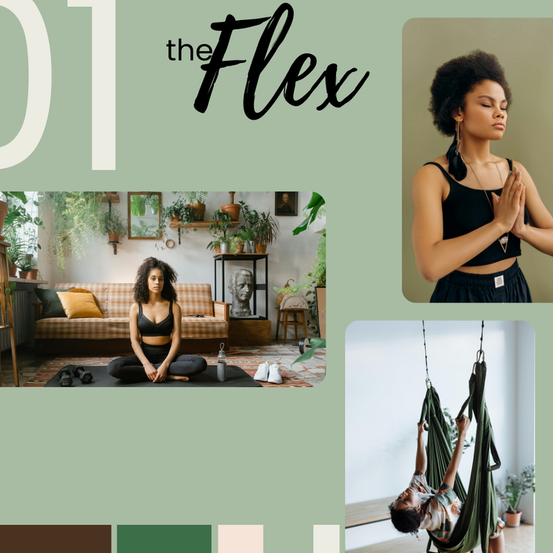 Branding for The Flex