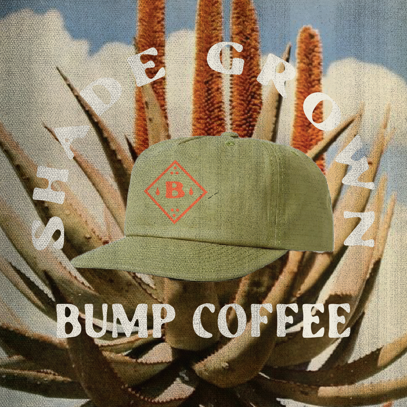 BUMP COFFEE SUMMER LOGOS