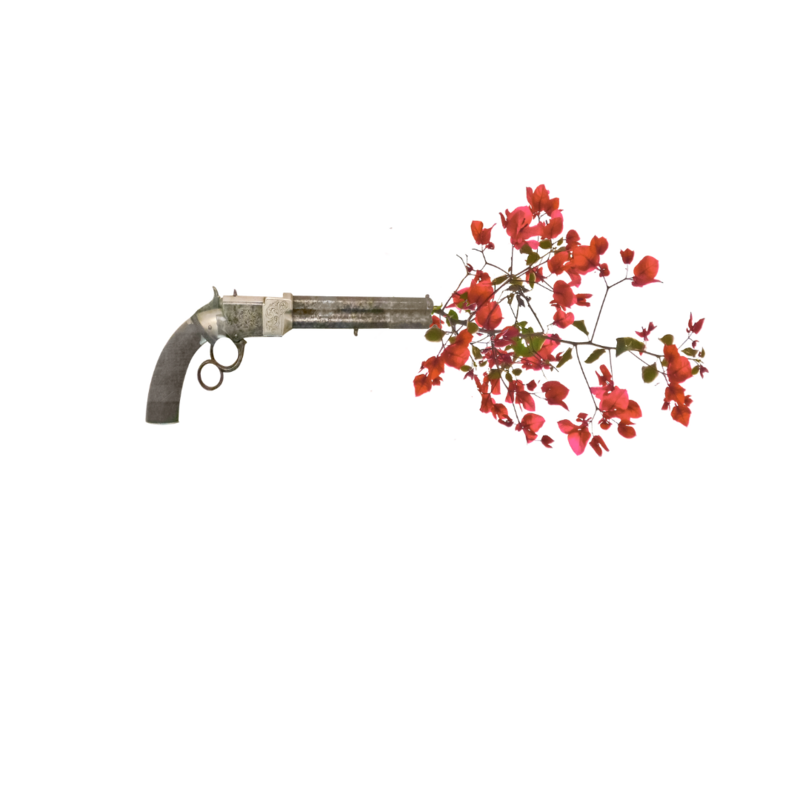 Graphic of gun with red flowers coming out of end.