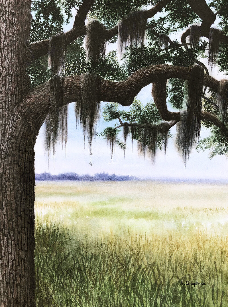 Out to the Marsh © Alan Shuptrine