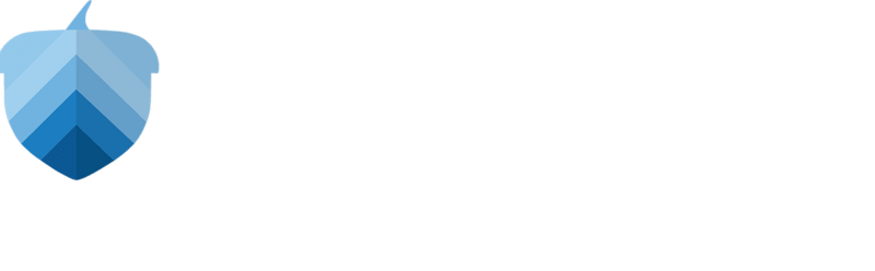 the logo for Acorn finance, that includes a blue acorn graphic and the text "Acorn Finance" next to it