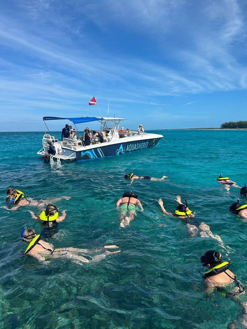 A group of people snorkeling off of an Aqua Shores tour boat