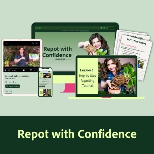 Repot with Confidence Digital Course