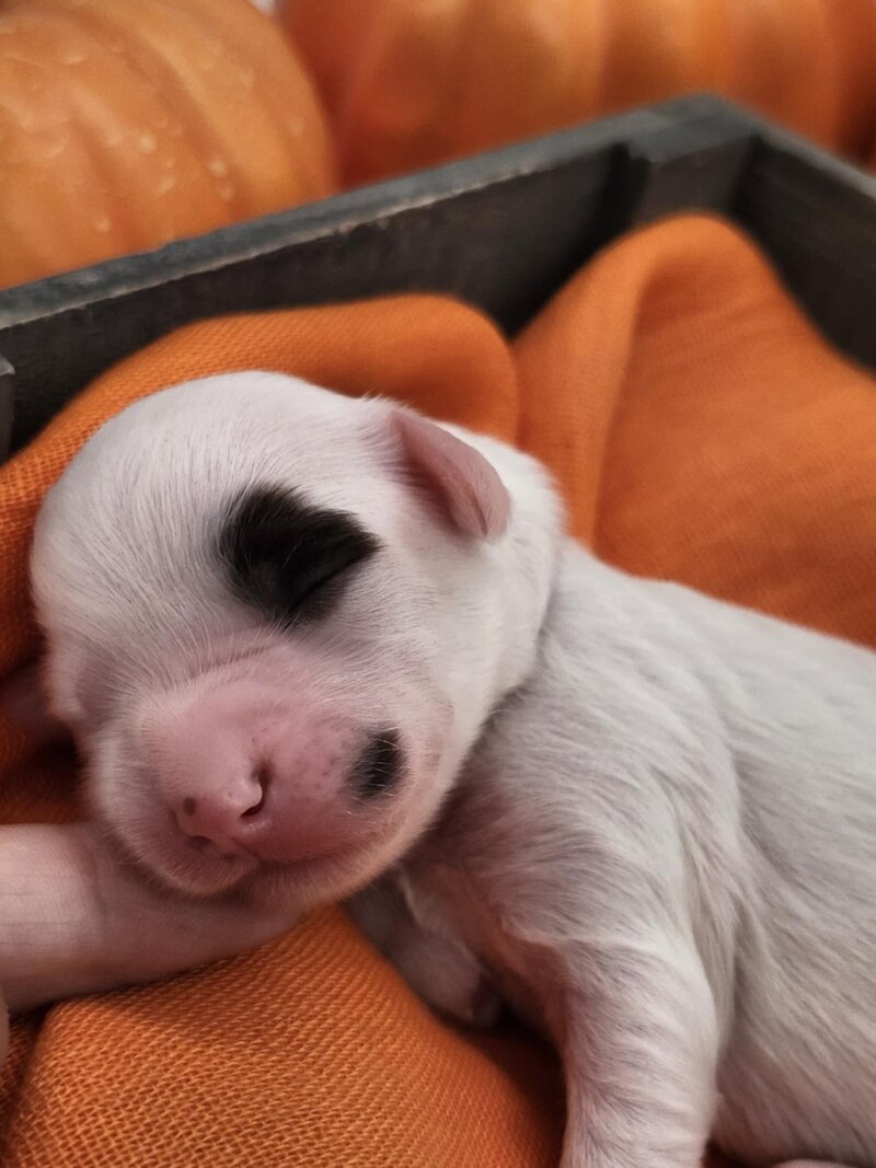 47b1a1ee-6385-496b-b5b1-33c5e72f99c6