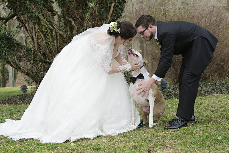 JandDstudio-antrim-1844-maryland-wedding-photography-brideandgroom-outdoor-vintage-dog