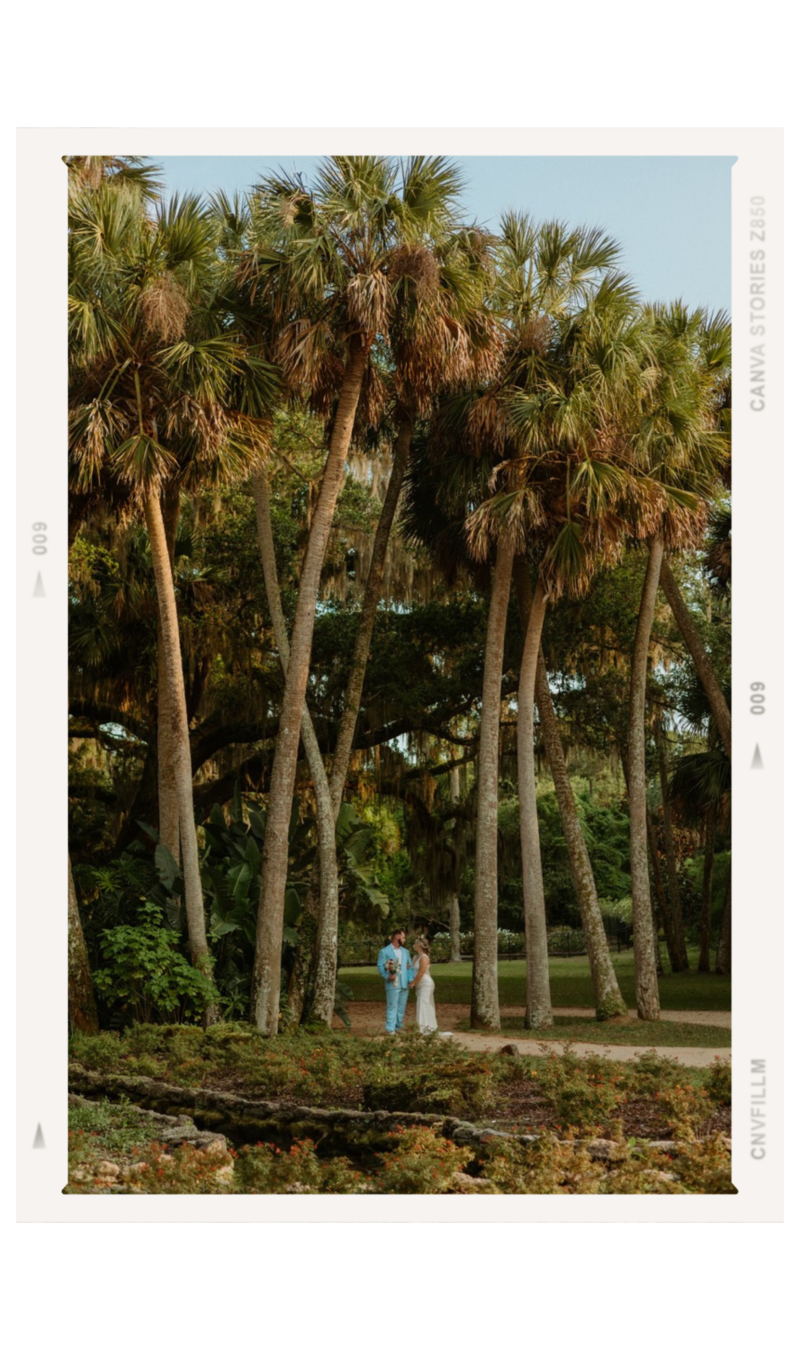 bride and groom standing by palm trees