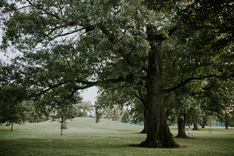 GermanVillage-33